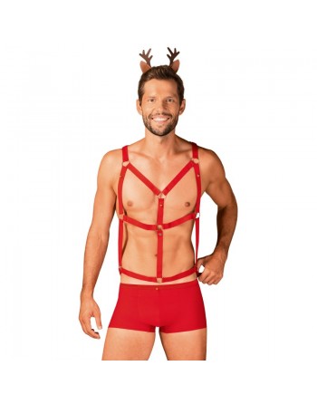 Mr Reindy costume